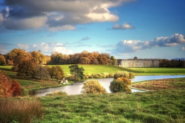 Petworth House and Park