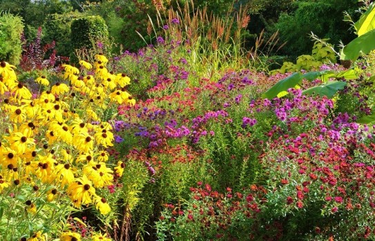 Picton Garden Picton Garden