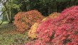 plas-newydd-autumn.jpg