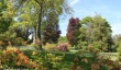 plas-newydd-gardens.jpg