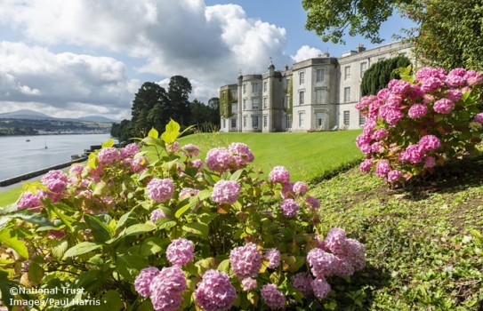 Plas Newydd Garden