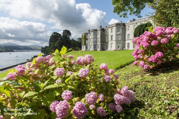 Plas Newydd Garden