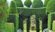 plas_brondanw_garden.jpg