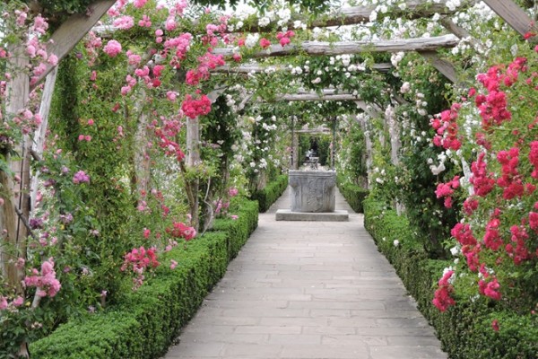 Polesden Lacey Gardens