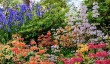 quarry-bank-gardens.jpg
