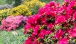 quarry-bank-wilmslow.jpg