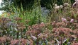 raveningham-hall-garden-norfolk.jpg