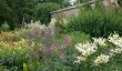 raveningham-hall-garden.jpg