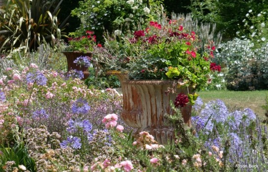 Raveningham Hall Gardens Raveningham Hall Gardens