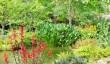 recommend-gardens-in-hampshire.jpg