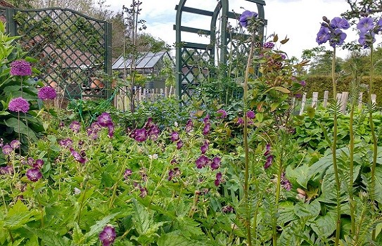 Redhall Walled Garden