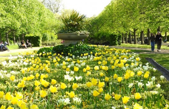 Regents Park London in Spring