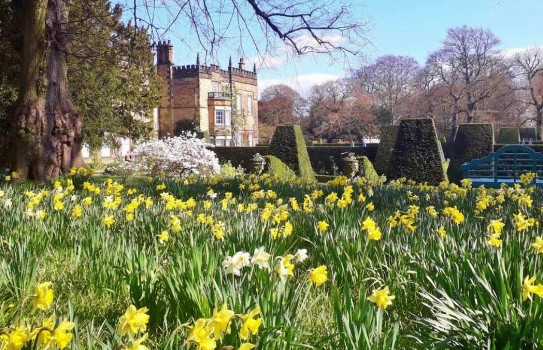 Renishaw Hall Garden