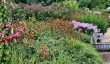 rhs-bridgwater-gardens.jpg