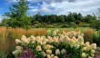 rhs-hyde-hall-gardens.jpg