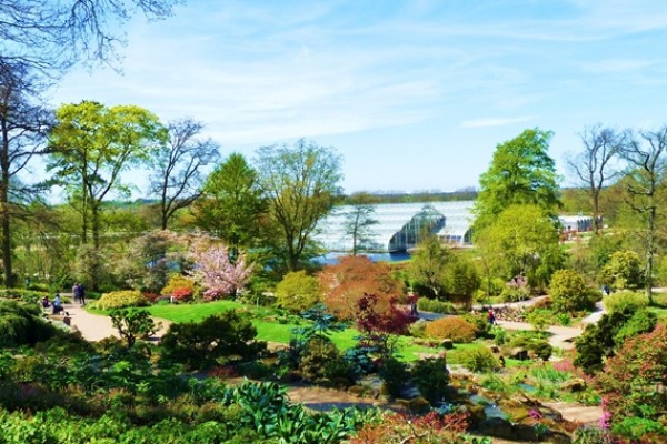 RHS Wisley Gardens
