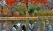 rhs-wisley-winter-garden.jpg