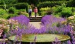 rhs_wisley_in_summer.jpg