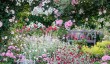 rosemoor-garden-devon.jpg