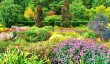 rosemoor-late-summer.jpg