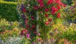 rosemoor-rhs-garden.jpg