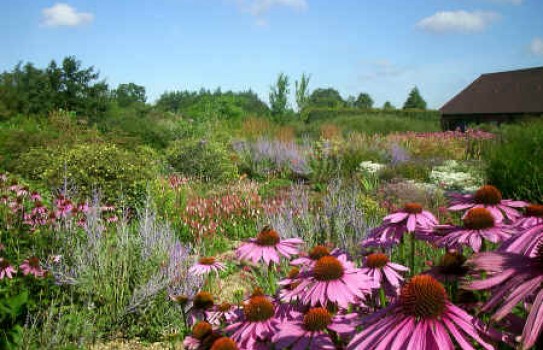 Ryton Organic Garden