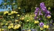 sandringham-gardens-1.jpg