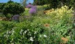 sandringham-gardens-2.jpg