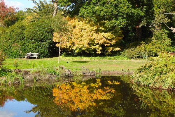 Savill Gardens Autumn