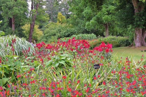 Savill Garden