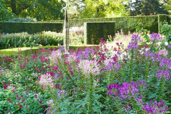 Savill Gardens