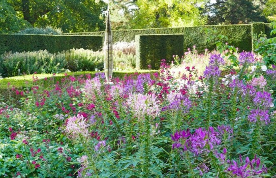 Savill Gardens