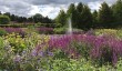 scampston_walled_garden.jpg