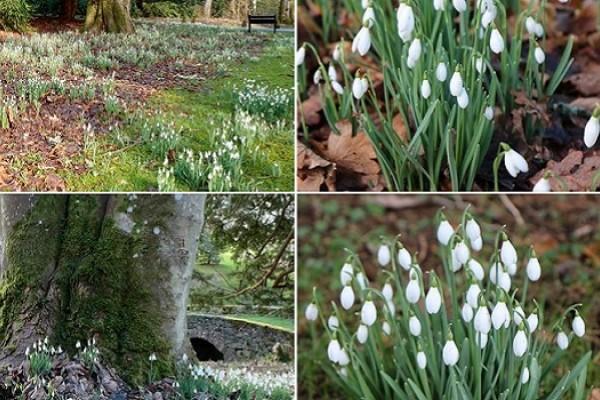 Scone Palace and Gardens