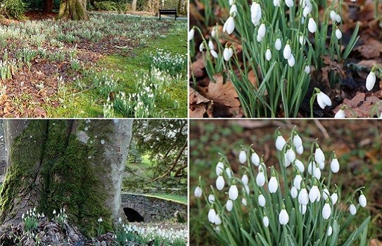 Scone Palace and Gardens