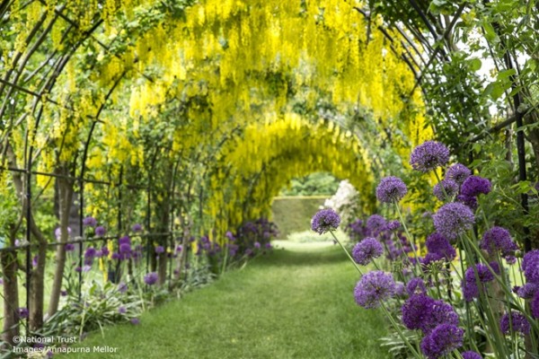 Seaton Delaval Hall Gardens