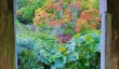 sezincote-water-garden.jpg