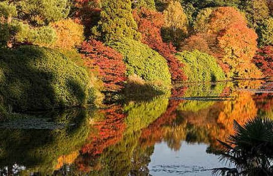 Sheffield Park Garden