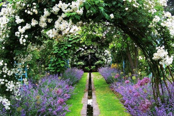 The beautiful Shepherd House Gardens