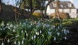 shepherd_house_snowdrops.jpg