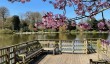 sherborne-casle-lake-view.jpg