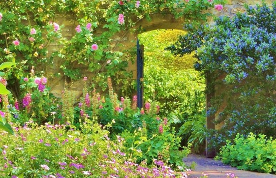 Sherborne Castle Gardens in Dorset Sherborne Castle Gardens in Dorset