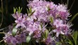 sheringham-gardens-7.jpg