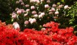 sherringham-park-2026.jpg