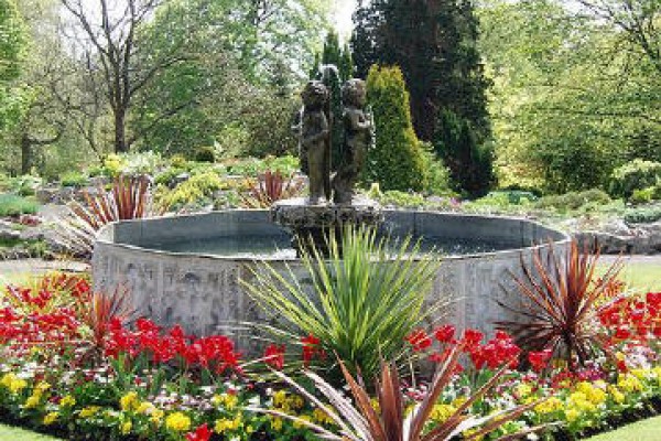 The Pool at Singleton Botanic Garden