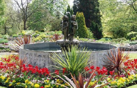 The Pool at Singleton Botanic Garden