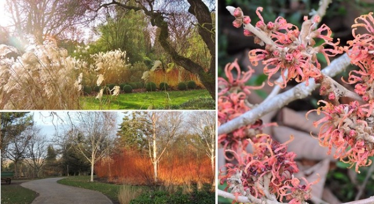Sir Harold Hillier Gardens Winter