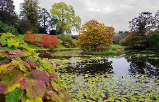 Sizergh Castle and Garden