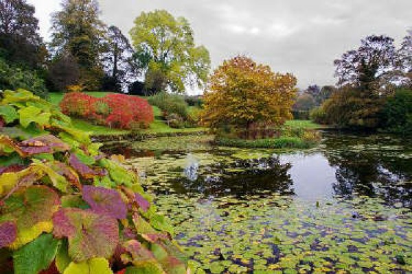 Sizergh Castle and Garden