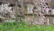 standen-gardens.jpg